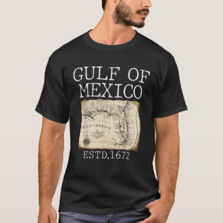 Camiseta Mapa da bandeira do Golfo dos EUA, América Funny G