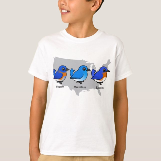 Camiseta Mapa do Bluebird (Frente)