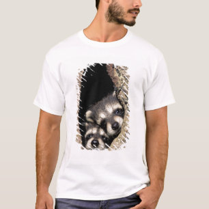 Camiseta Mapehutes bebê em cavidade de árvore Procyon