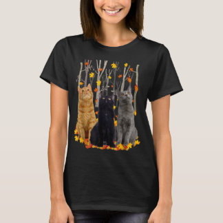 Camiseta Maple Cat Leaf Fall Hello Autumn Funny Gatinho