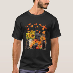 Camiseta Maple Cat Pumpkin Folha Alô Alô Outono Kit Engraça