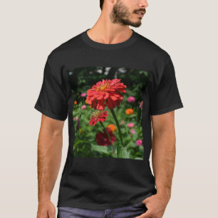 Camiseta Margarida de laranja, zina, cosmo, jardim de giras