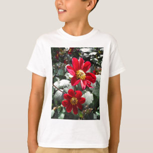 Camiseta margarida rosa-vermelha / flores das margaridas