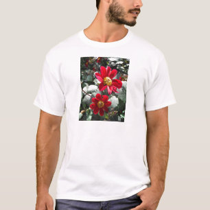Camiseta margarida rosa-vermelha / flores das margaridas
