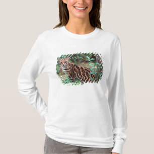 Camiseta Margay, Leopardus wiedi, Nativo do México até