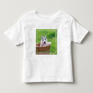 Camiseta Marionete siberiano em Pote