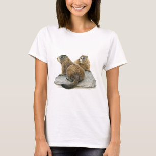 Camiseta Marmot de barriga amarela