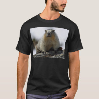 Camiseta Marmota inchada amarelo