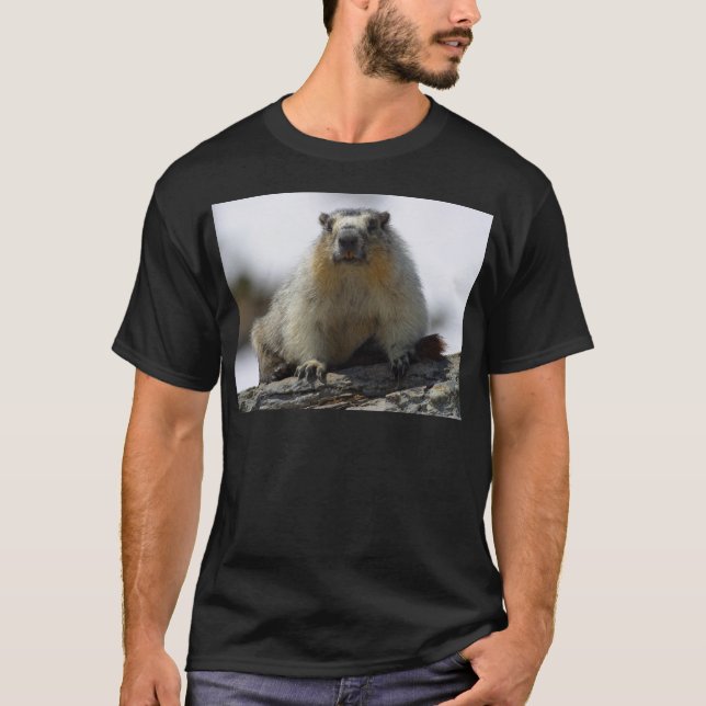 Camiseta Marmota inchada amarelo (Frente)