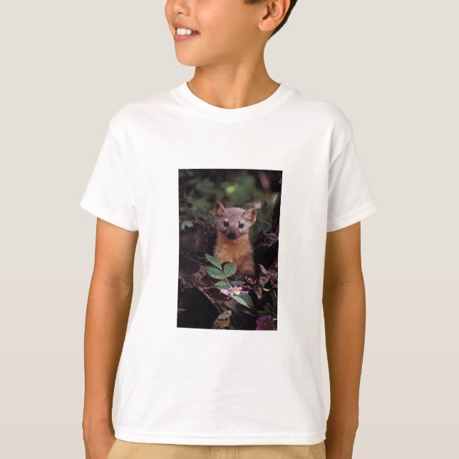 Camiseta Marten de pinho (Frente)