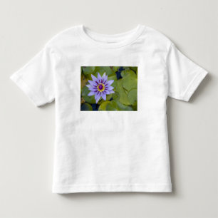 Camiseta Martinica, Antilhas Francesas, Índias Ocidentais,