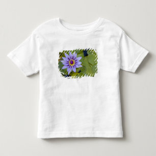 Camiseta Martinique, Antilhas Francesas, Índias Ocidentais,