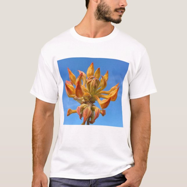 Camiseta masculina com Florida Flame Azalea (Frente)