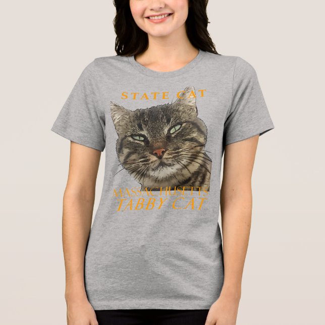 Camiseta Massachusetts Territory Cat O Charming Tabby Cat (Frente)