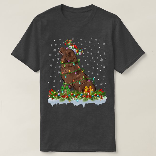 Camiseta Matching Xmas Lighting Santa Newfoundland Dog Chri (Frente do Design)