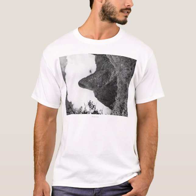 Camiseta Maui, Havaí - a agulha do vale de Iao (Frente)