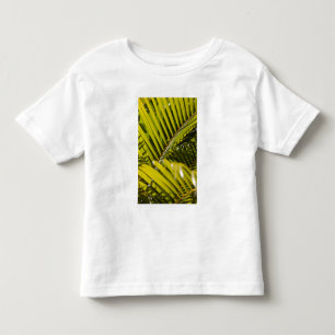Camiseta Maurícia, Maurícia Central, Moka, palmeira