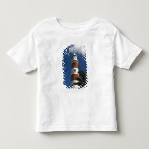 Camiseta Maurícia, Maurícia Ocidental, Belle Vue, Albion