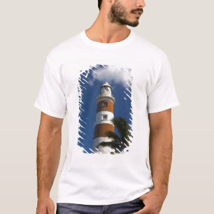 Camiseta Maurícia, Maurícia Ocidental, Belle Vue, Albion