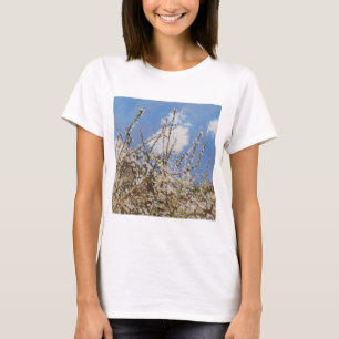 Camiseta Mayflower 2012