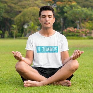 Camiseta Meditação Vipassana Seja Equanimidade Igual Zen