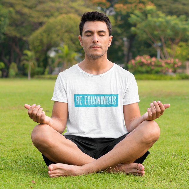 Camiseta Meditação Vipassana Seja Equanimidade Igual Zen (Criador carregado)