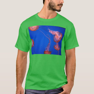 Camiseta medusa 38