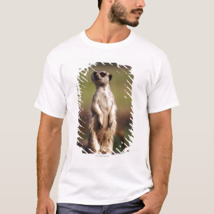 Camiseta meerkat delgado-atado