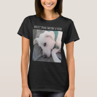 Melhor Cachorro Mãe Cachorro Branco Cachorro Branc