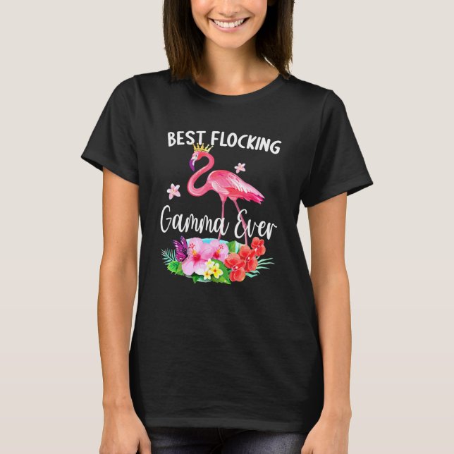 Camiseta Melhor Fã De Flamingo Gama De Bloqueio (Frente)