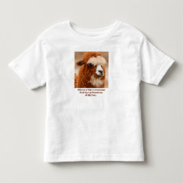 Camiseta Melhor Sobrancelha Única de Alpaca