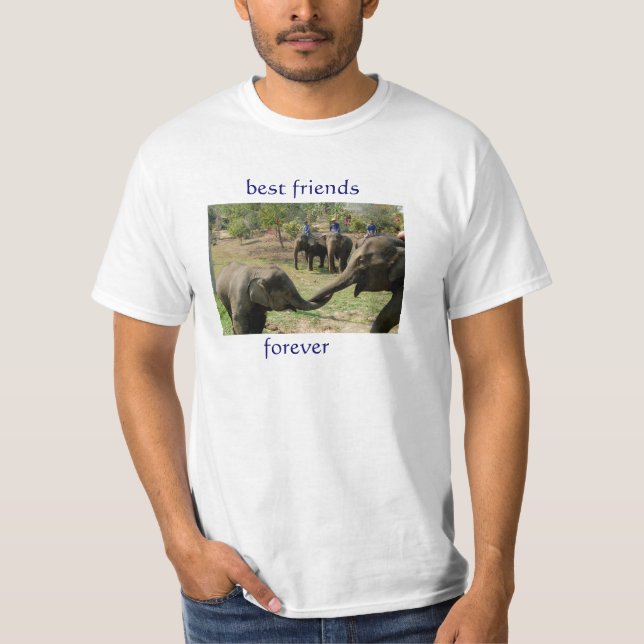 Camiseta Melhores amigos para sempre (Frente)