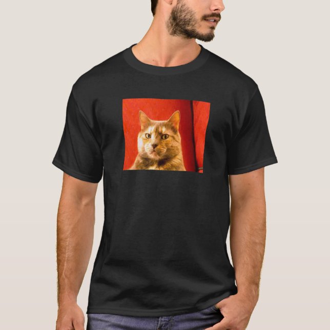 Camiseta Meme de Gato Suspeito (Frente)