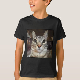 Camiseta Memória de Gato de Estreitamento de bobo