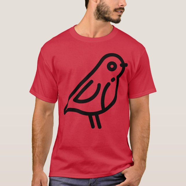 Camiseta menino amigo de pássaros (Frente)