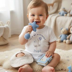 Camiseta Menino Balão Ganso Azul Primeiro Aniversário Crian
