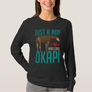 Camiseta Meninos Animais do Zoológico África Safari Cuidado