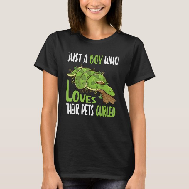 Camiseta Mens Noodle Reptile Para Herpetólogo Ball Python (Frente)