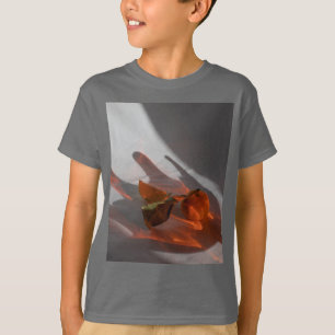 CAMISETA MENTE SENSUAL ARTÍSTICA 