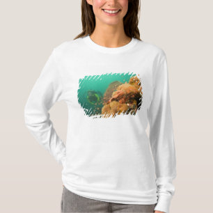 Camiseta mergulhador & peixe-escorpião Scorpanopsis