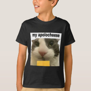 Camiseta Meu Apolocheese Meme de Gato Engraçado Brainrot Hu