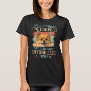 Camiseta Meu cachorro pensa que sou perfeito, Chihuahua Dog