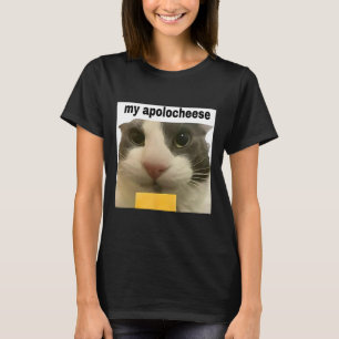 Camiseta Meu Descultivo Engraçado Memória Brainrot Gen Z Hu