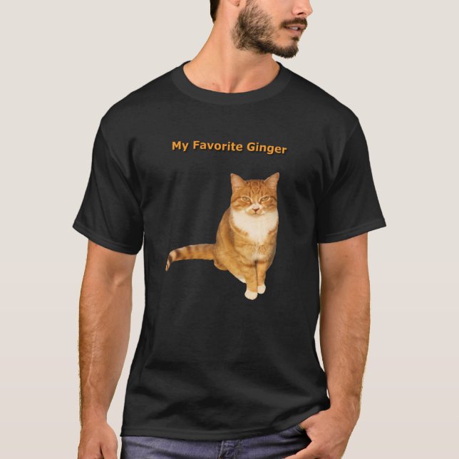 Camiseta Meu Gatinho de Ginger Laranja Favorito (Frente)