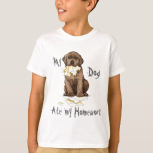 Camiseta Meu Laboratório De Chocolate Comeu Meu Trabalho De