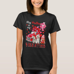 Camiseta Meu Maltês É Meu Namorados Dois Cães Com Gnomo Pic
