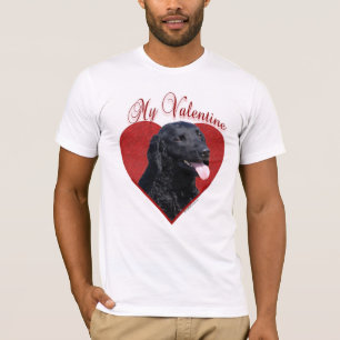Camiseta Meu Namorados de Retriever Revestido Curly