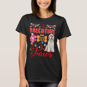 Camiseta Meu Namorados Tem Patas Bonitas De Vidro Collie