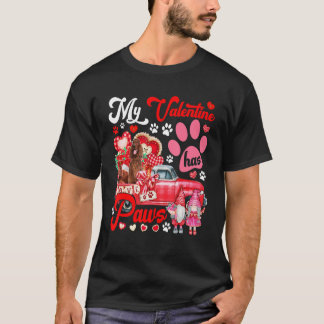 Camiseta Meu Namorados Tem Paws Casal Setores Irlandeses Em
