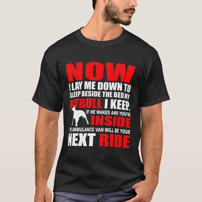 Camiseta Meu Pitbull Eu Mantenho Novo (Frente)